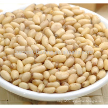 Chinese pine nuts kernels